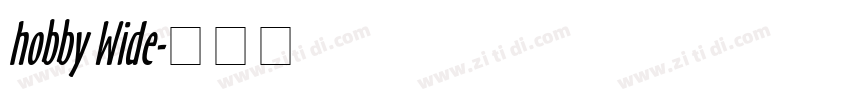 hobby Wide字体转换